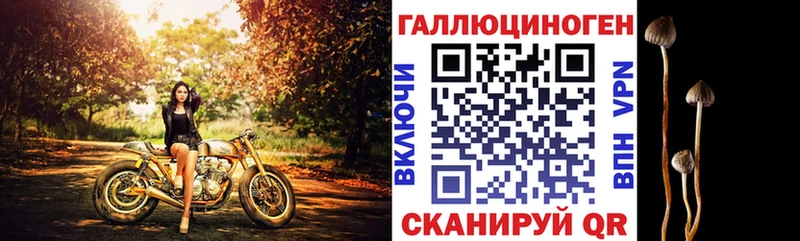 Псилоцибиновые грибы Psilocybine cubensis  Дербент 